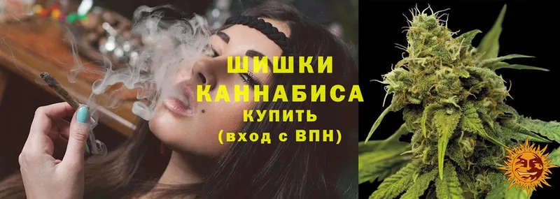 Канабис SATIVA & INDICA  цены   Куса 